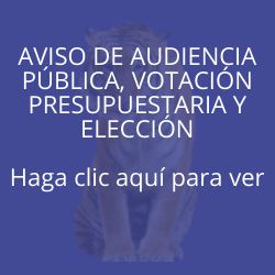  AVISO DE AUDIENCIA PÚBLICA, VOTACIÓN PRESUPUESTARIA Y ELECCIÓN
